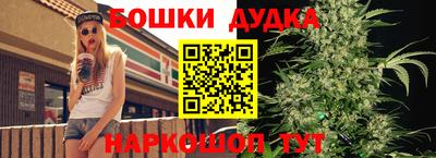 spice Обнинск