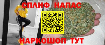 прущие крисы Новозыбков