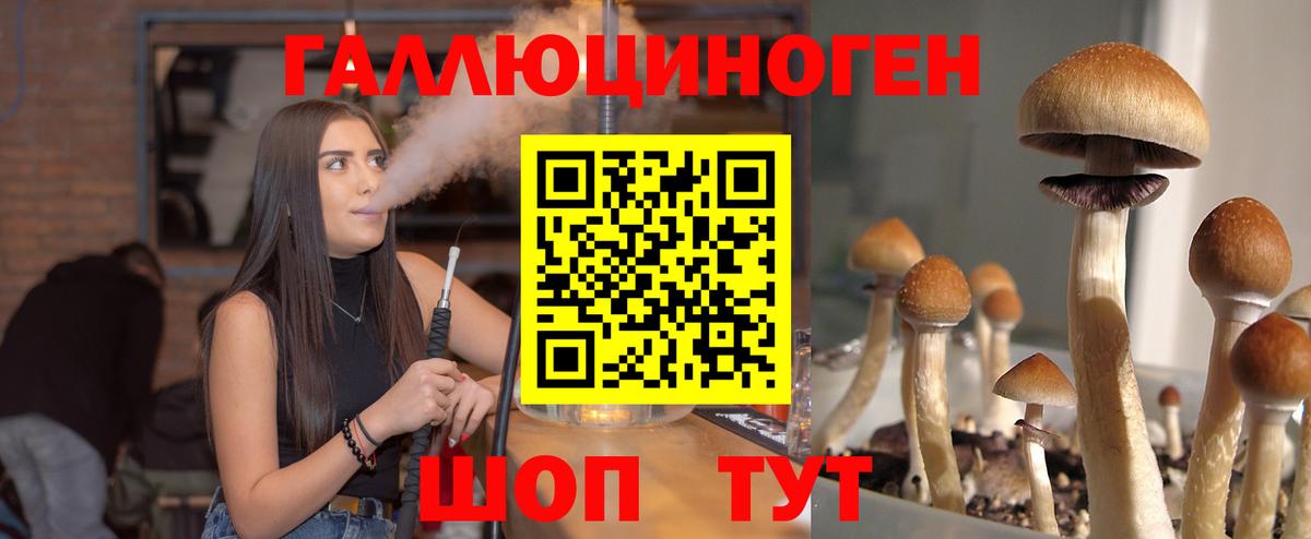 Псилоцибиновые грибы MAGIC MUSHROOMS  Вход с VPN  Сочи 